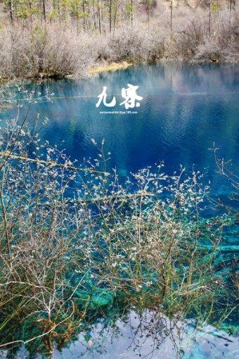 获评国家级示范区！他们是如何做到的？