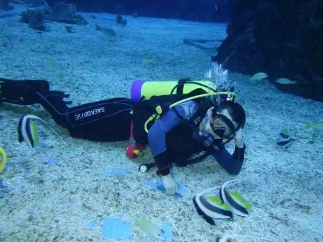 《逆水寒》带萌新领飞剑分铜钱活动玩法介绍