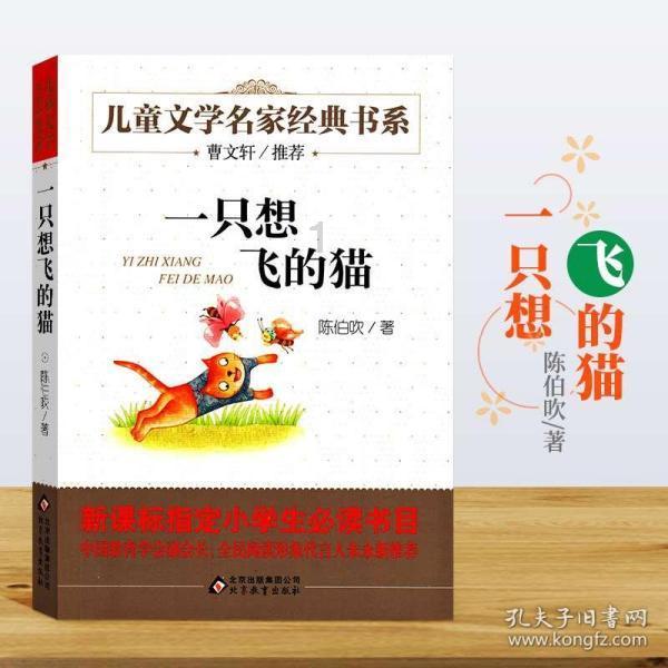 武汉江汉路步行街,建筑博物馆的光影。