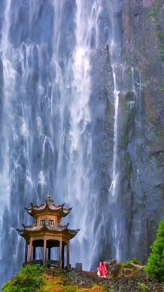 88影视